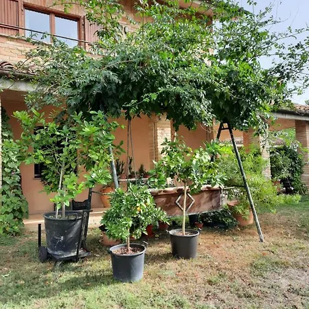 Glamping Marche Nascoste Tenda E Intero Penna San Giovanni