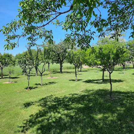 Glamping Marche Nascoste Tenda E Intero Penna San Giovanni