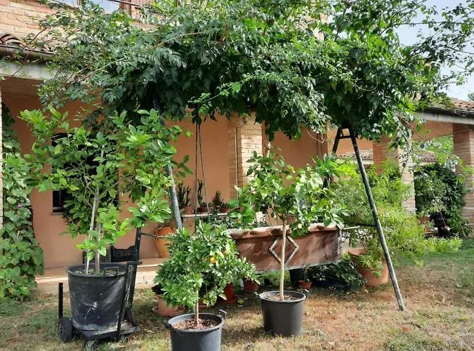 Glamping Marche Nascoste Tenda E Intero Penna San Giovanni